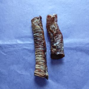 Pig Trachea